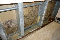 24194ba6-965c-4b8d-9925-cf154e4b2107