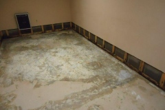 4aace402-39e4-48de-d8e5-fd1e71ea862b