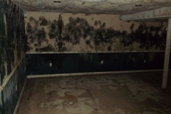 a111e6bb-c0c0-45f6-bbfb-401211cdc1b3