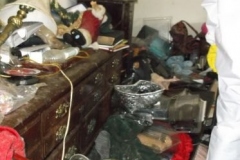 60f6cc12-2380-4675-ce18-8cb92f6ac764