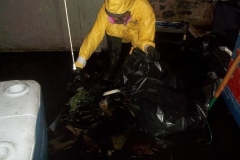 4bab6daa-999b-47aa-9727-b3185be67f87