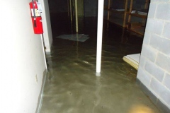 6283f369-e9aa-473f-81c5-91701280a991