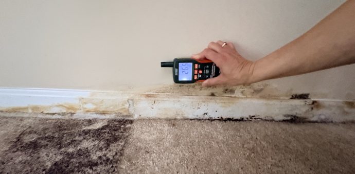 How Long Does It Take for Mold to Grow After a Water Leak?